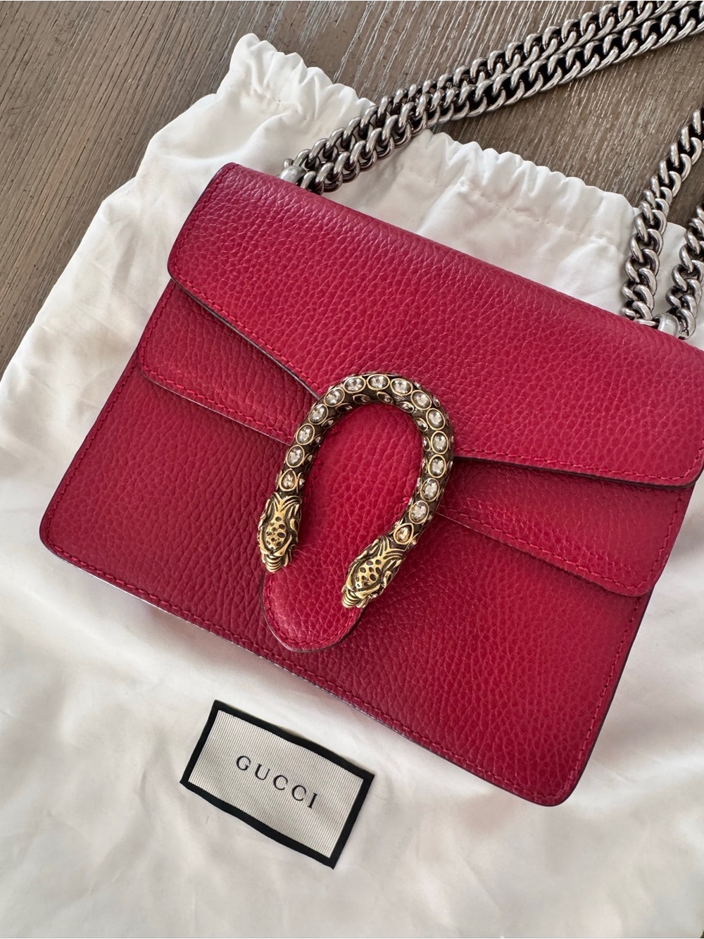 Gucci Dionysus Red - Small with Silver Chain